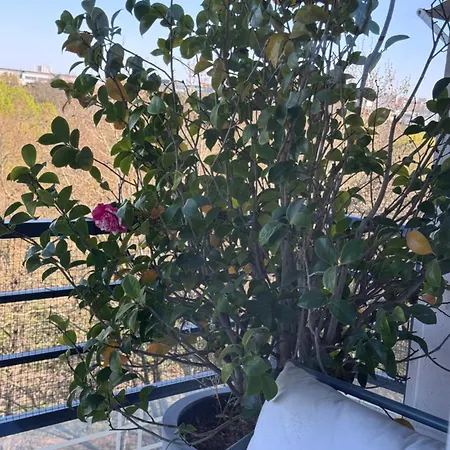 3 Bedrooms With Tour Eiffel View Apartmán *